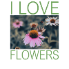 I LOVE FLOWERS