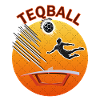 Teqballsoccer