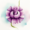 Fleur