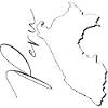 Peru map as outline EN