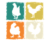 Chicken Rooster