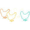 Chickens Hen
