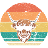Cow Cattle Highland Cattle
