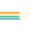 Cow Cattle Highland Cattle