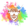 Cow Cattle Highland Cattle