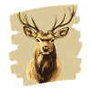 Cerf avec bois