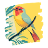 Canari