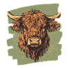 Scottish Highland cattle