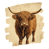 Scottish Highland cattle