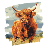 Scottish Highland cattle