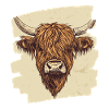 Scottish Highland cattle