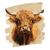 Scottish Highland cattle