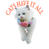 Sassy Cat