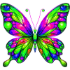 Papillon