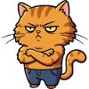 Chat irrité