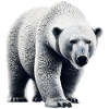 Eisbär
