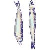 Two sardines