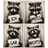 Waschbär – Ich muss gar nichts!