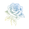 Rose Love