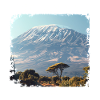 Berg Kalimanjaro