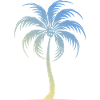 Palm Tree Holidays