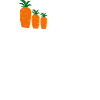 Carottes en imprimé poche