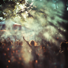 Shiny festival