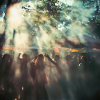 Rave