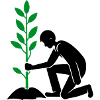 Planting Environment