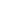 Festnetzer