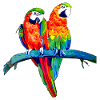 Two macaw parrots on branch