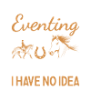 Rider A Day Without Eventing