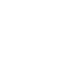 Lacrosse Player
