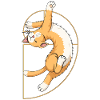 Fibonacci Spiral Cat