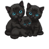 Blue Eyes Three Cats