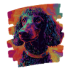 Caniche