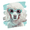 Caniche