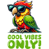 Parrot Sunglasses Comic