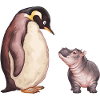 Amitié pingouin et hippopotame