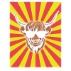 Cow Cattle Highland Cattle
