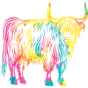 Cow Cattle Highland Cattle