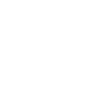 Heartbeat Goose