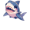 Sharks Shark