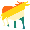 Buffalo Cattle Oxen