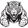 Tiger Gym Musculation Muscles