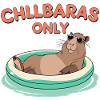 Chillbaras Only - Relaxed Capybara