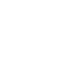 Female Lacrosse Player