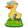 Lunettes Duck Nerd Book