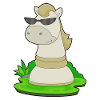 pièce d’échecs chevalier échecs