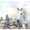 Weißes Pferd in mystischer Landschaft